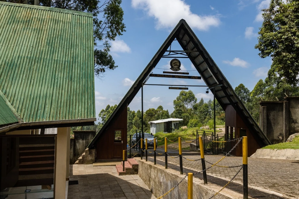 8-days-machame-route-2