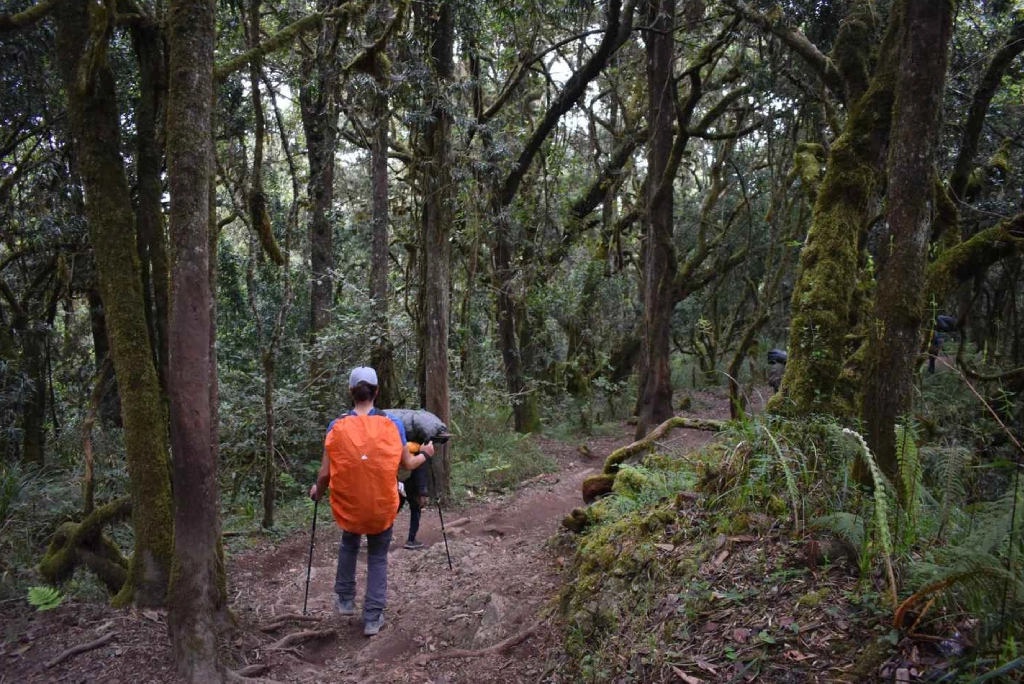 8-days-machame-route-4