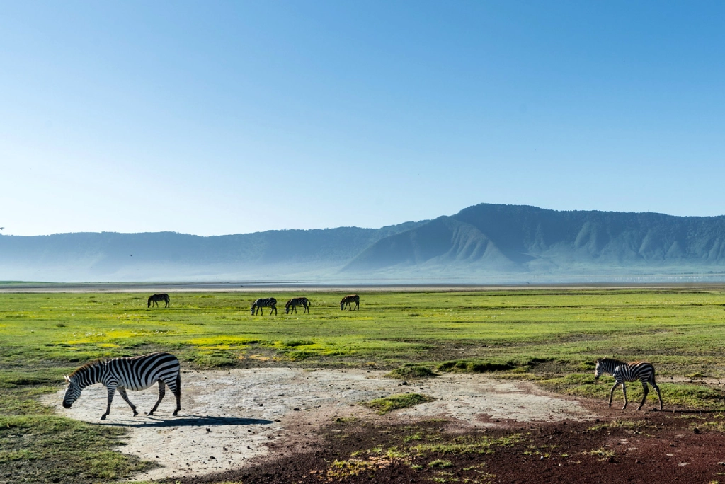 8-days-tanzania-safari-and-zanzibar-extension-1