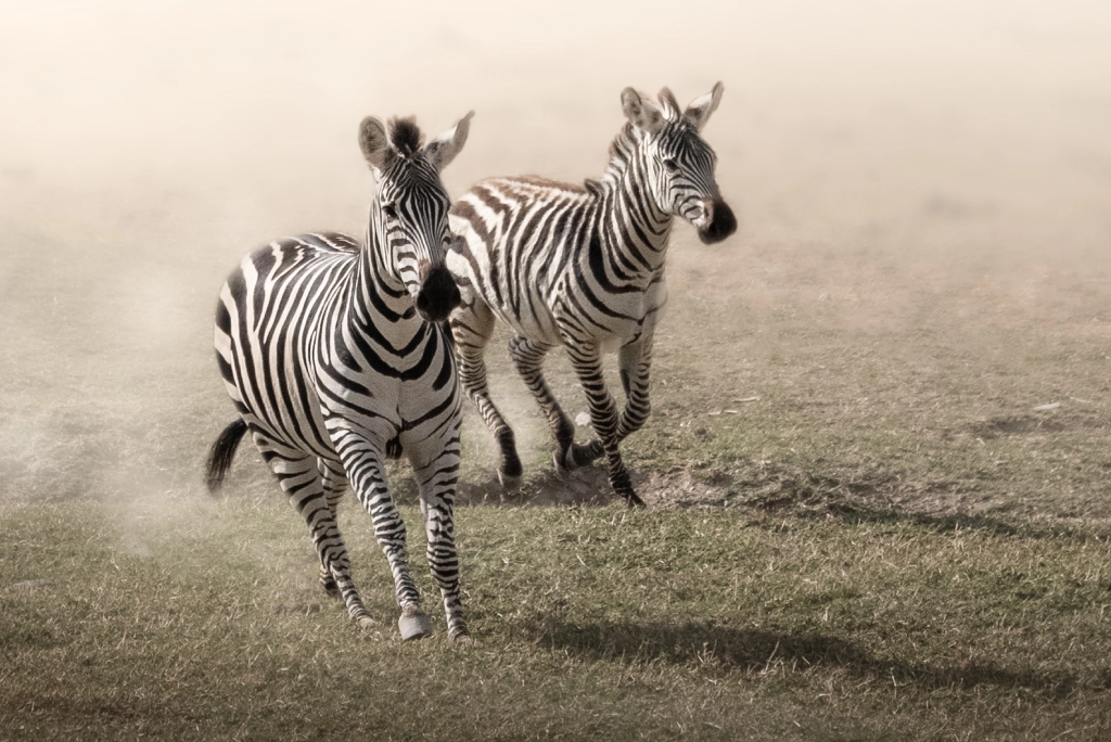 8-days-tanzania-safari-and-zanzibar-extension-23