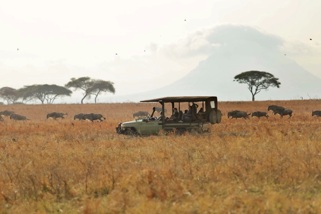8-days-tanzania-safari-and-zanzibar-extension-9