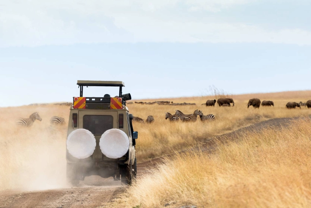 9-days-tanzania-safari-12