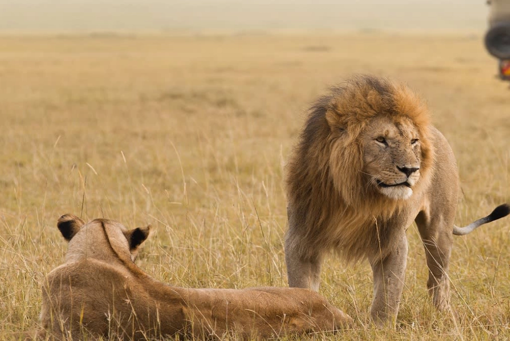 9-days-tanzania-safari-13