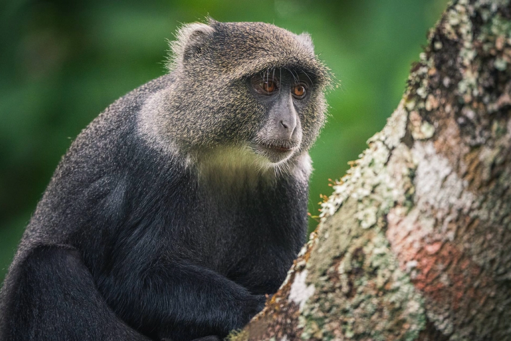 9-days-tanzania-safari-17