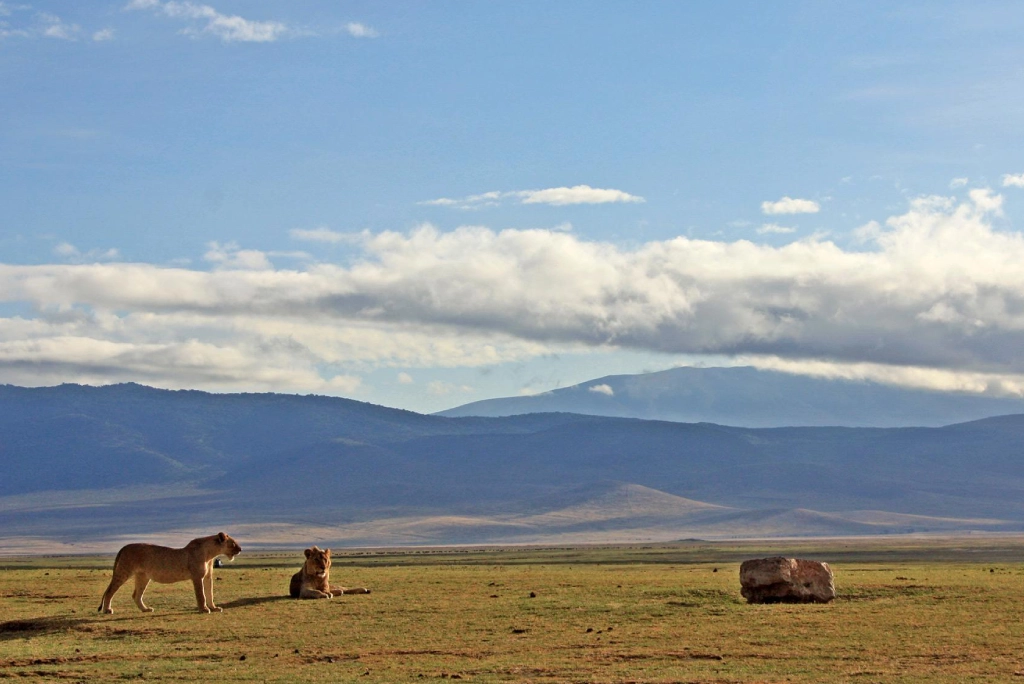 9-days-tanzania-safari-24