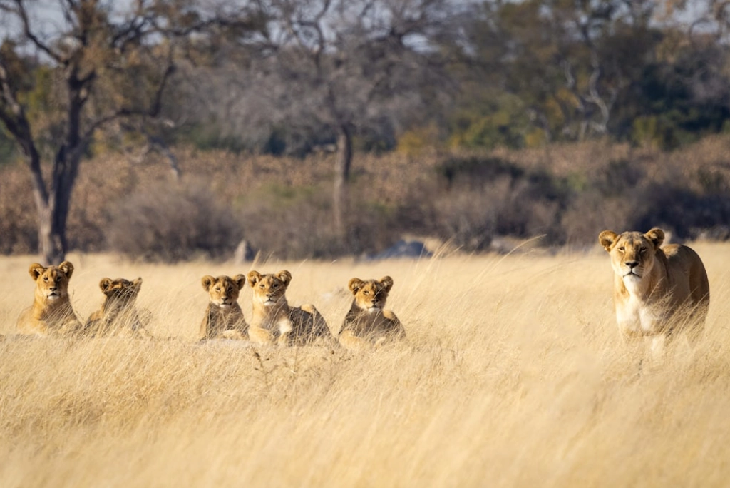 9-days-tanzania-safari-28