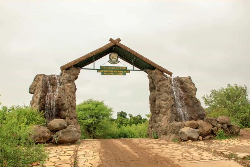 9-days-tanzania-safari-6