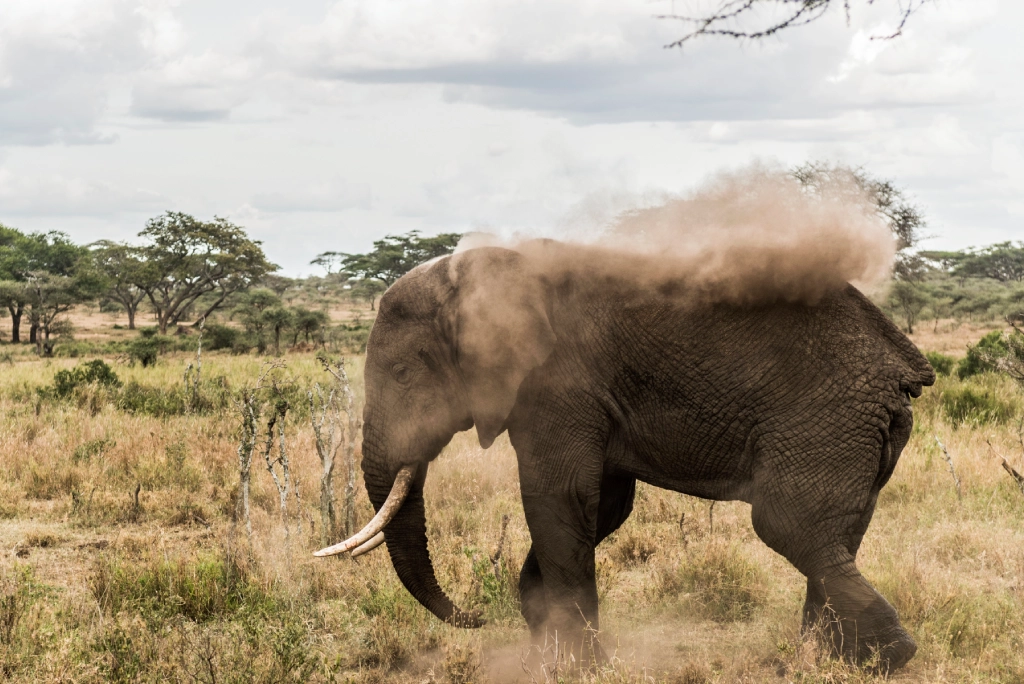 9-days-tanzania-safari-9