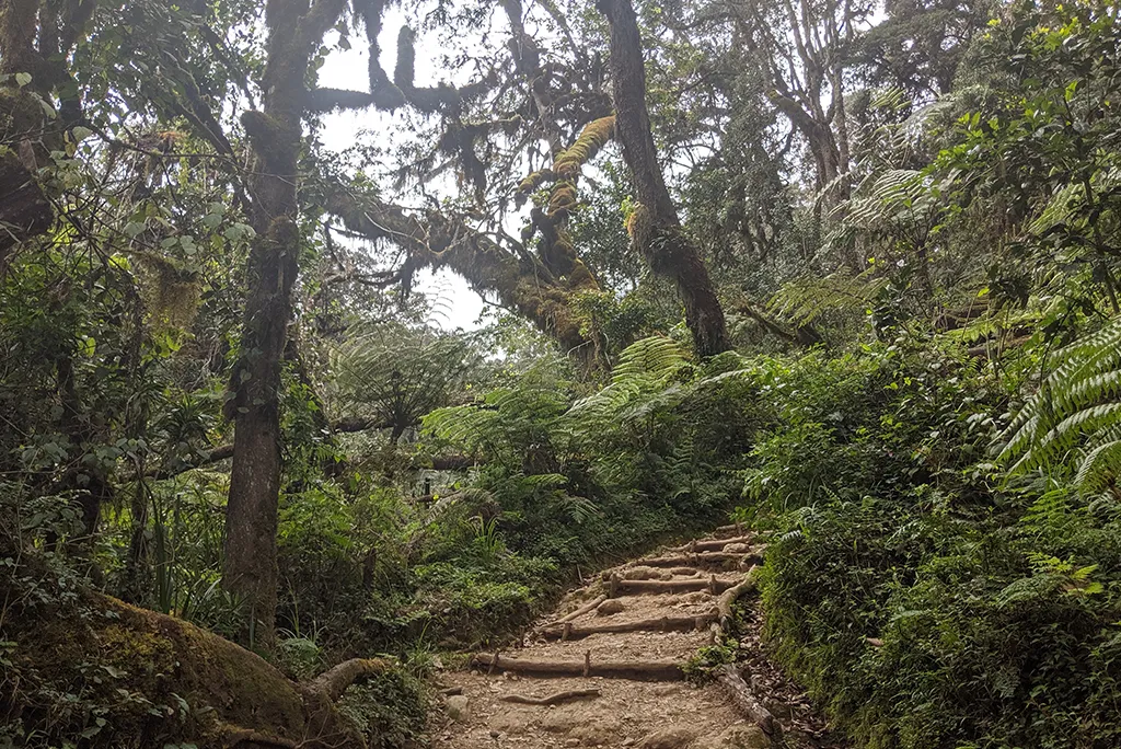 Kilimanjaro National Park