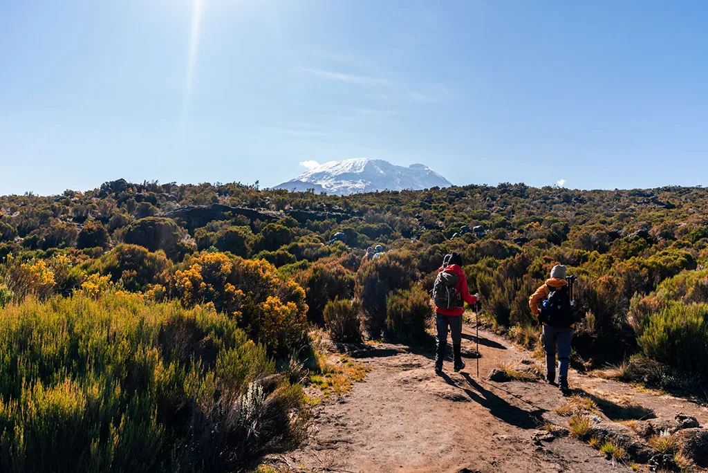 Kilimanjaro National Park