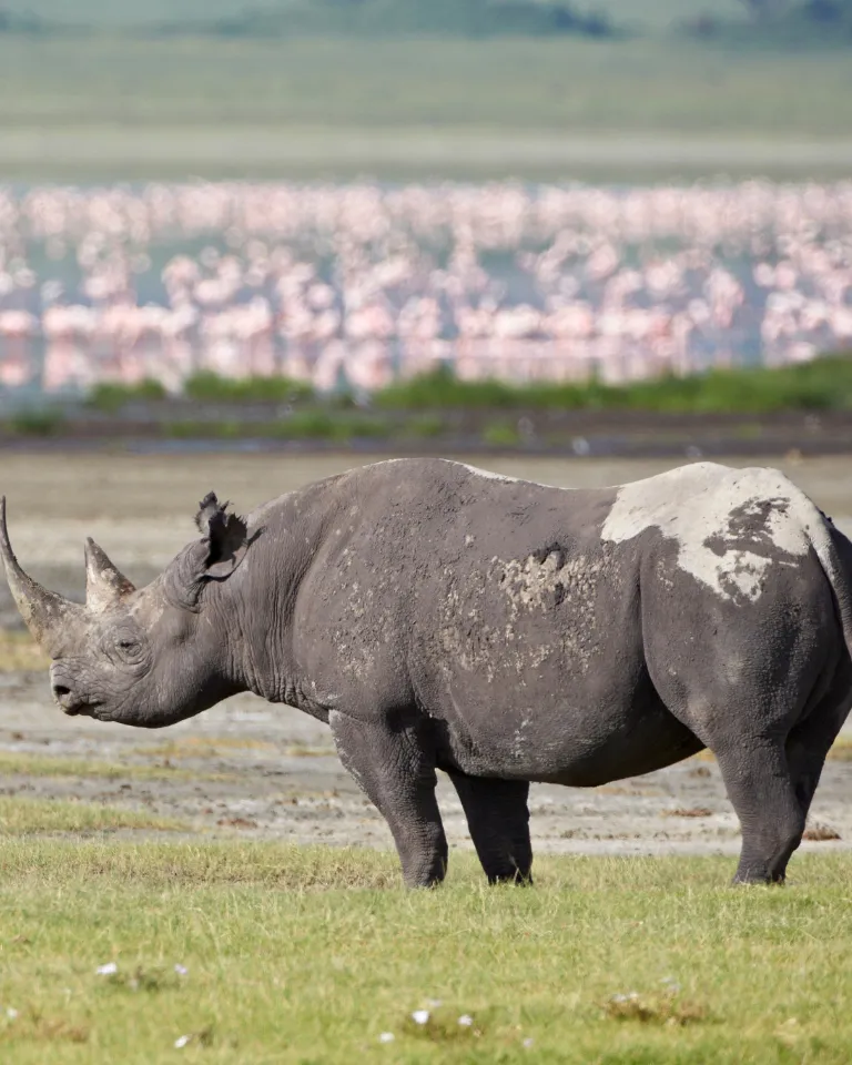 Ngorongoro Crater