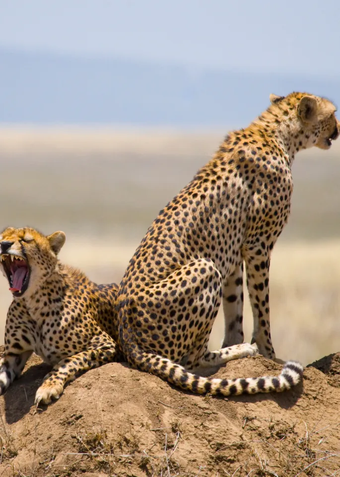 Serengeti National Park