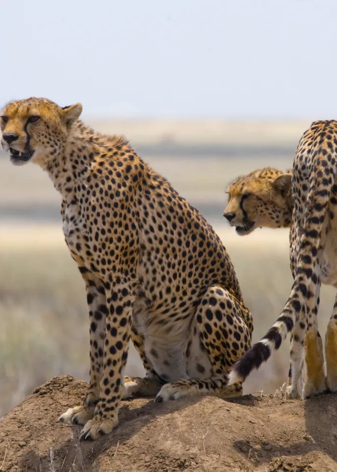 Serengeti National Park