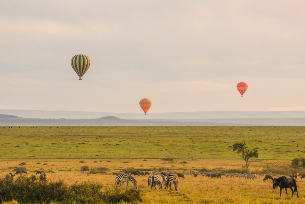 baloon-safari-19-days