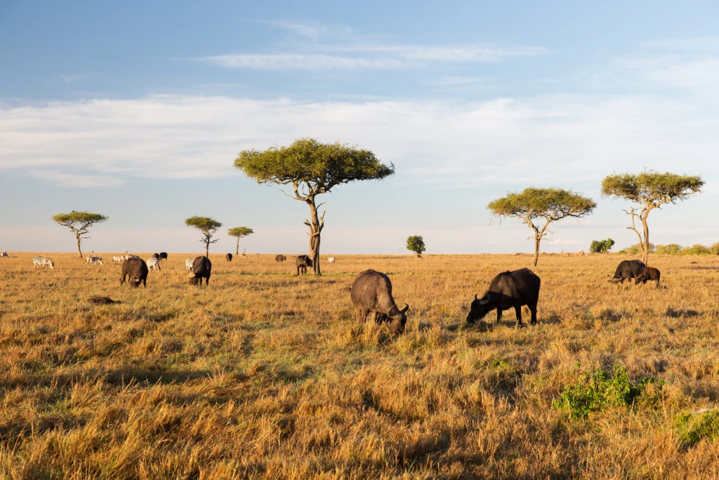 Kenya Tourist Attractions