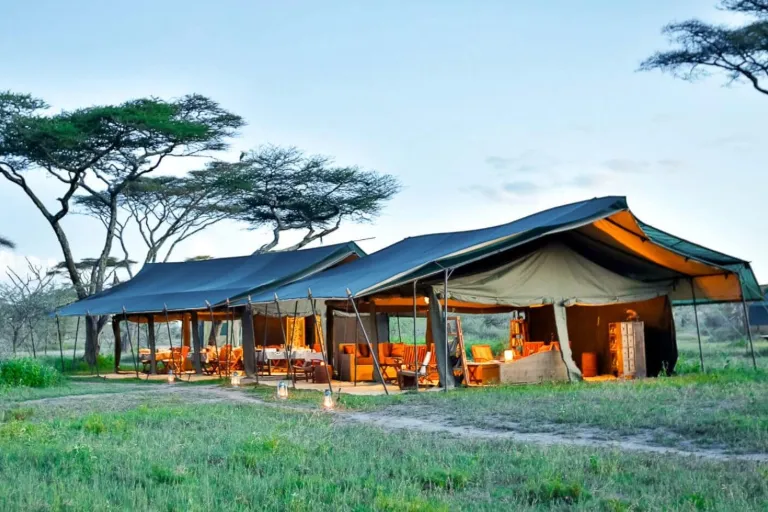 Tanzania Safari Accommodations
