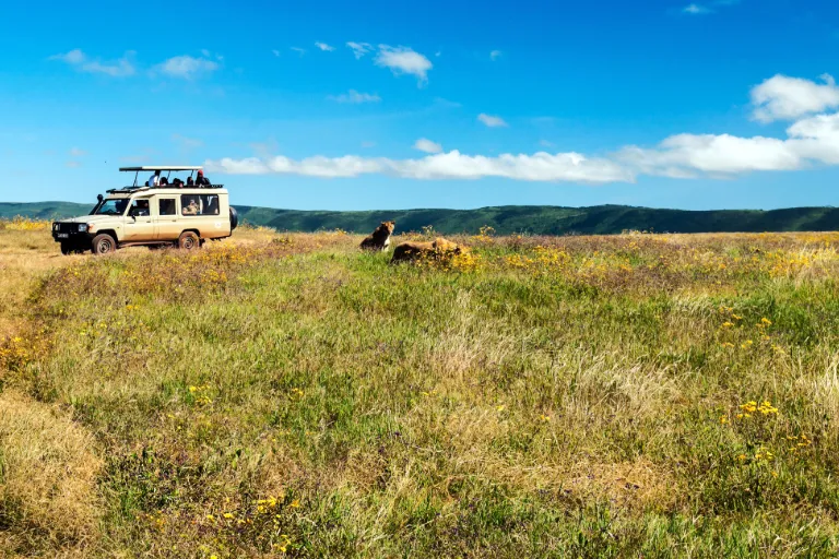 Tanzania Safari Experience