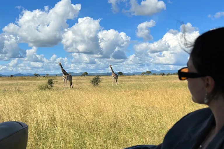 Tanzania Safari Cost