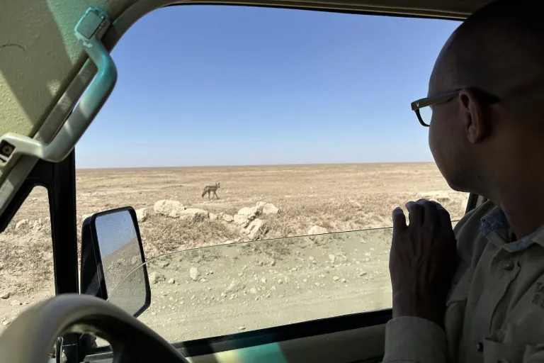 Tanzania Travel Safety