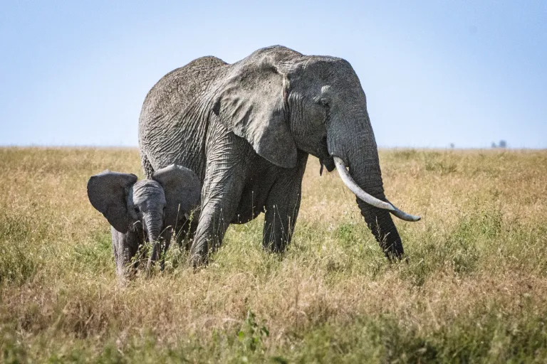 When to Visit Tanzania