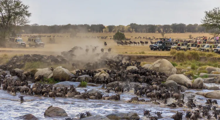 Northern Serengeti Safari