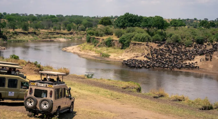 Northern Serengeti Safari