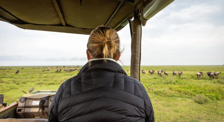 Tanzania Safari Experience